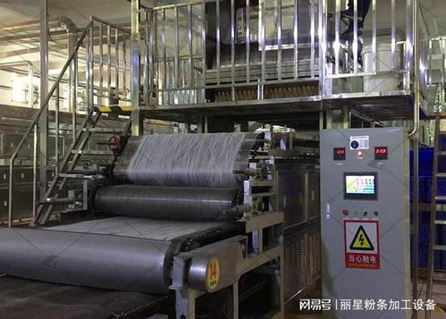淀粉純度對(duì)粉條加工設(shè)備的影響與維護(hù)策略